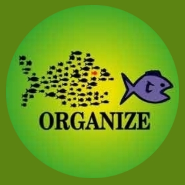 ba23 Organize