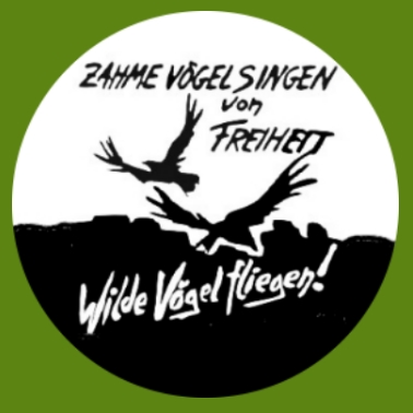 ba26 Vögel fliegen
