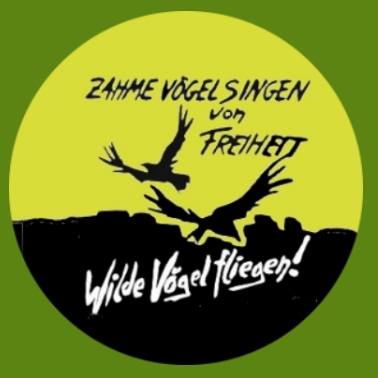 ba27 Vögel fliegen grün