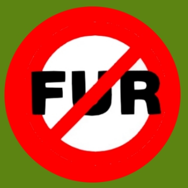bv11 No Fur