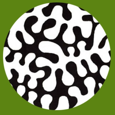 bk55 Matisse2